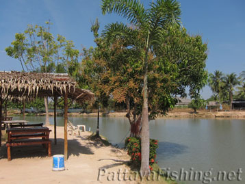 Amazon Fishing Park Pattaya