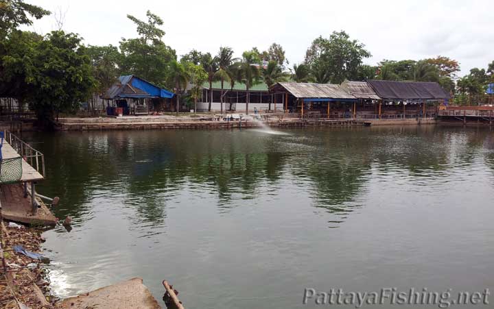 Baetong fishing park, Pattaya